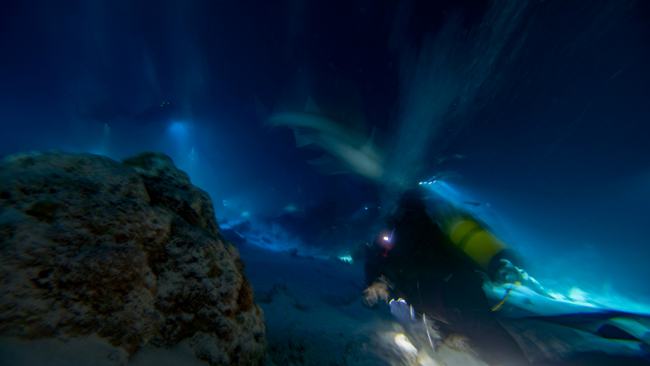 10 valuable tips for night diving