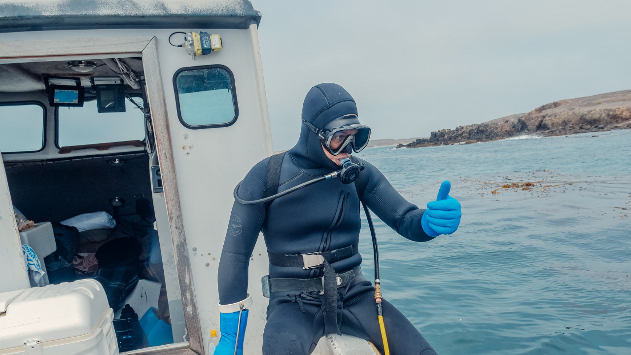 Cos'è l'immersione professionale?