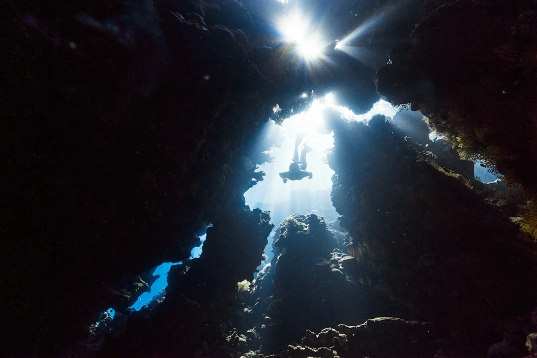 Cave diving levels: cavern, intro to cave, and full cave
