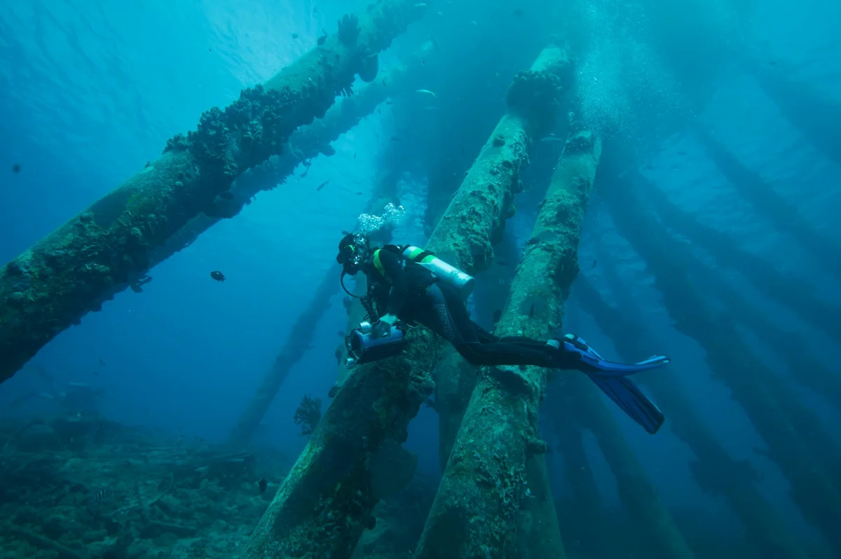 Bonaire, Caribe holandés: el destino de buceo de costa más completo del Caribe