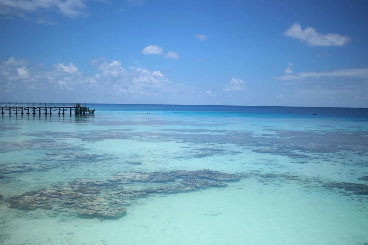 Tahití i la Polinèsia francesa: taurons tigre, mantes i atolls