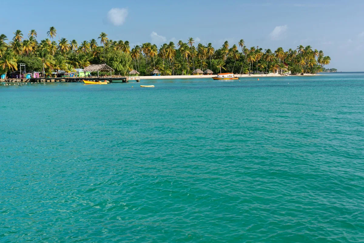 Grenadines, Tobago Cays: diving with turtles in turquoise waters