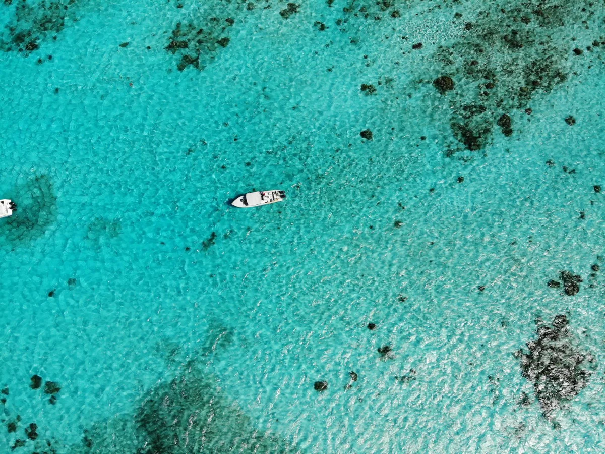Belize Great Blue Hole: overhyped or worth the dive?