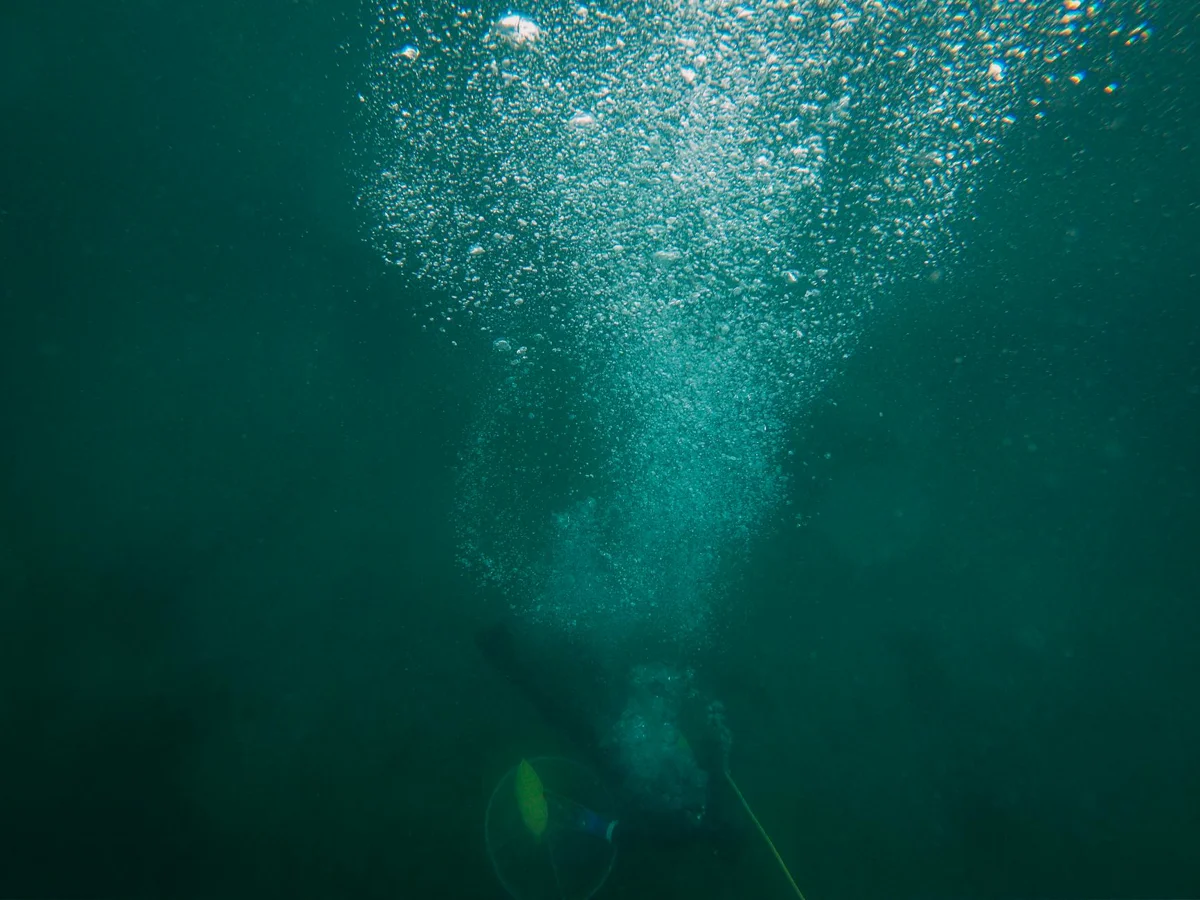 Narcosis de nitrógeno: a qué profundidad pega y cómo notarlo a tiempo