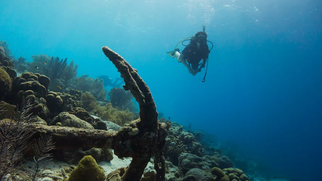 10 mitos del buceo que oirás en cualquier centro del mundo y que son falsos