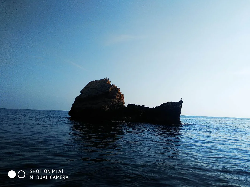 BUCEO ESTEPONA