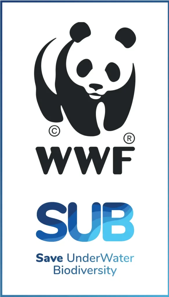 Sede ASD VareseSub