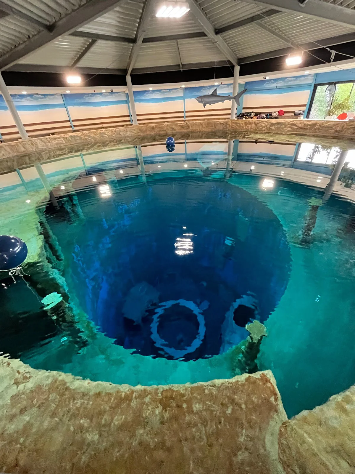 Dive For Fun