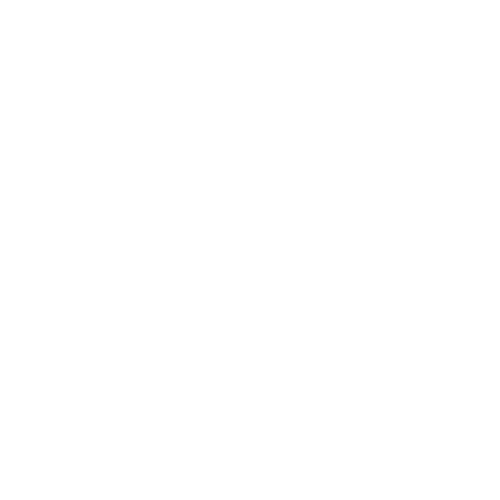 Deepsea Freediving logo