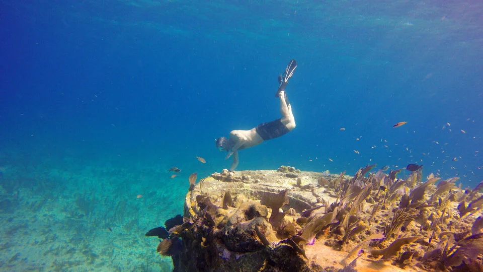 PADI Rescue Diver Course