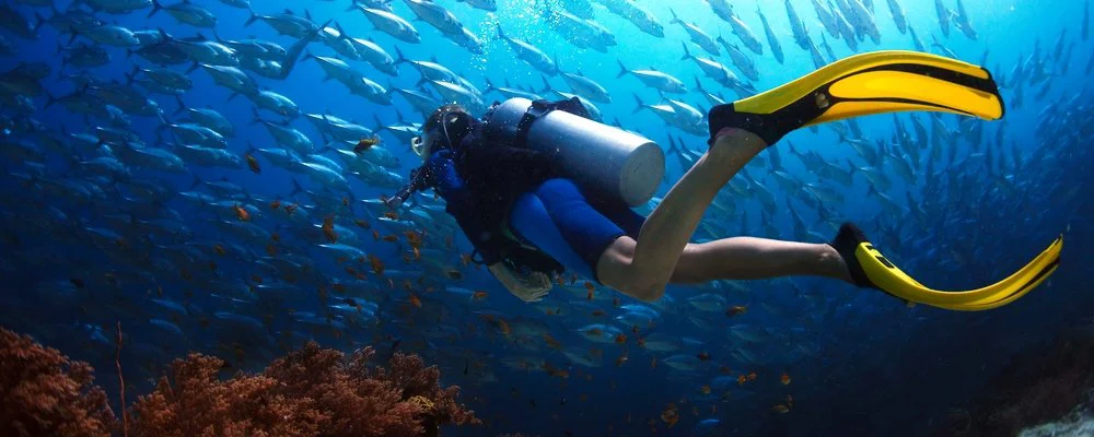Sport Club DIVING