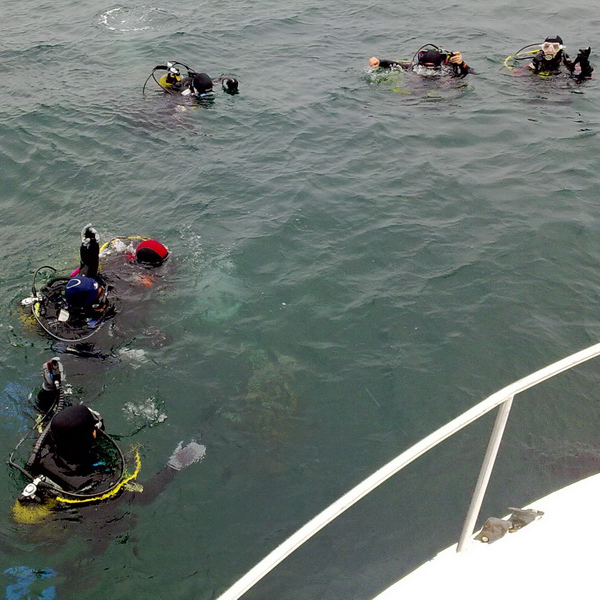 Orca Dive Club