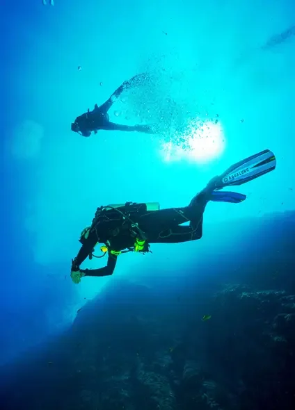 Dive with Us