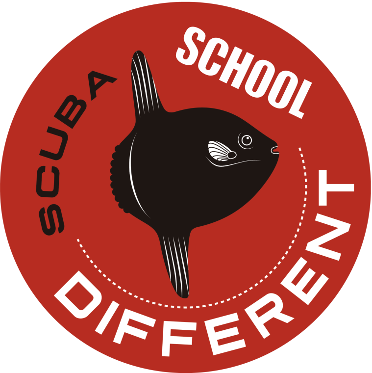 Escuela de Buceo Different Scuba School logo