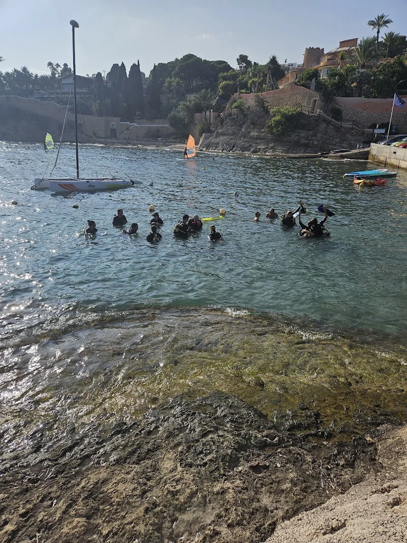 Foto 4
