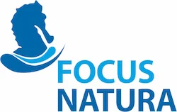 Madeira Oceanos - Diving Center ( Focusnatura) logo