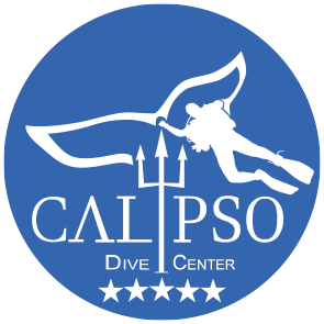 Calypso Dive Center logo