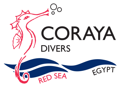 Coraya Divers Alaya logo