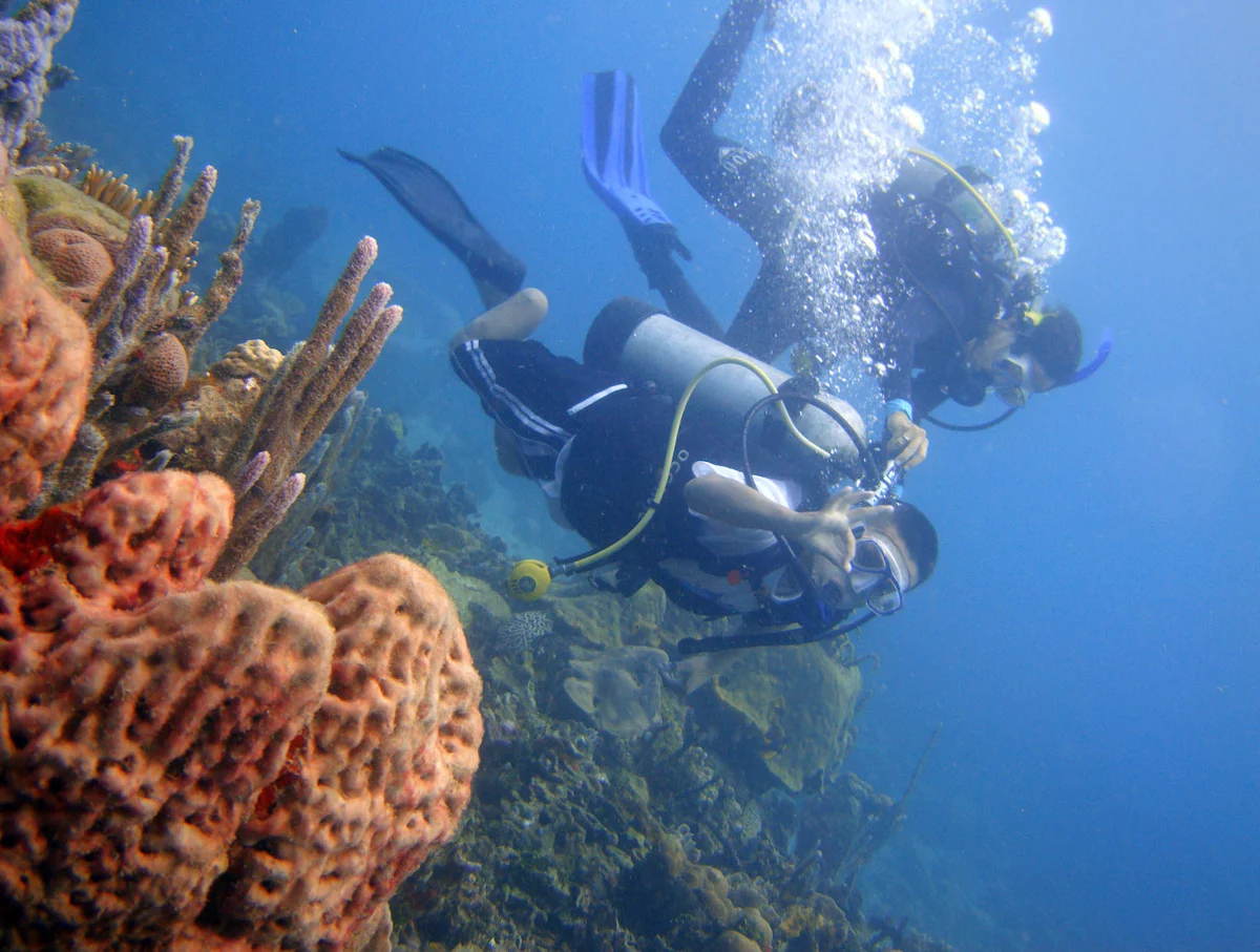 Diving Planet