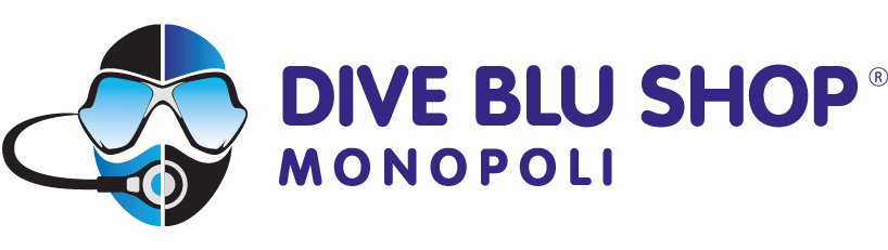 Instructor Development Course