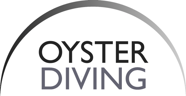 Oyster Luxury Travel & Diving logo