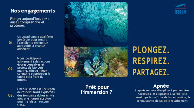 Baptêmes de plongée en piscine