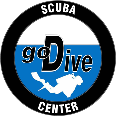 GoDive logo