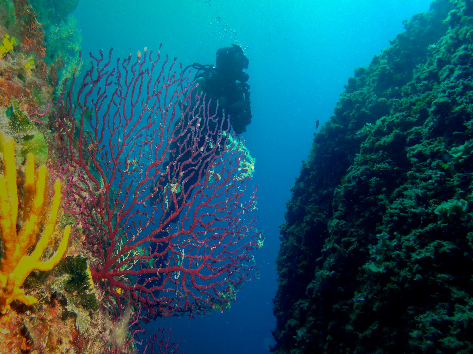 Instructor Development Course