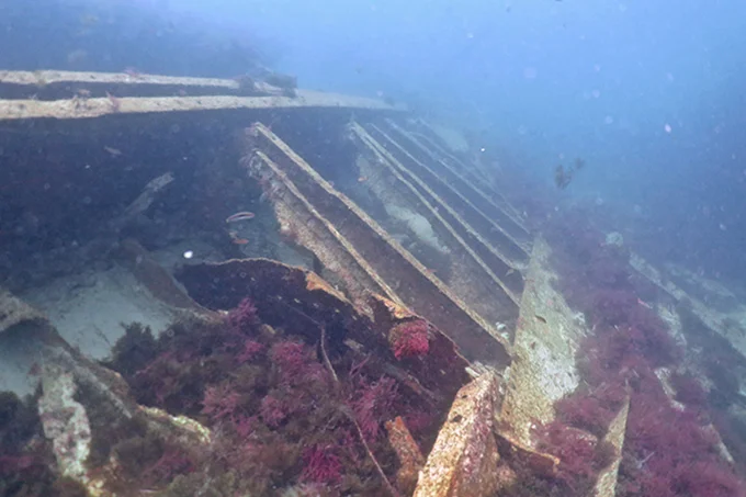 Leon Marino Dive Center