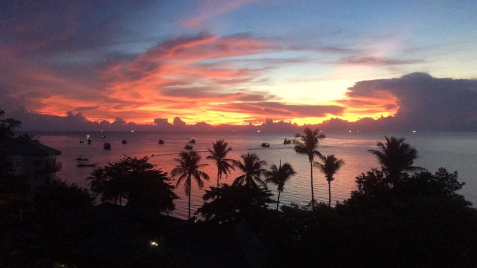 ISLA TORTUGA DIVERS KOH TAO
