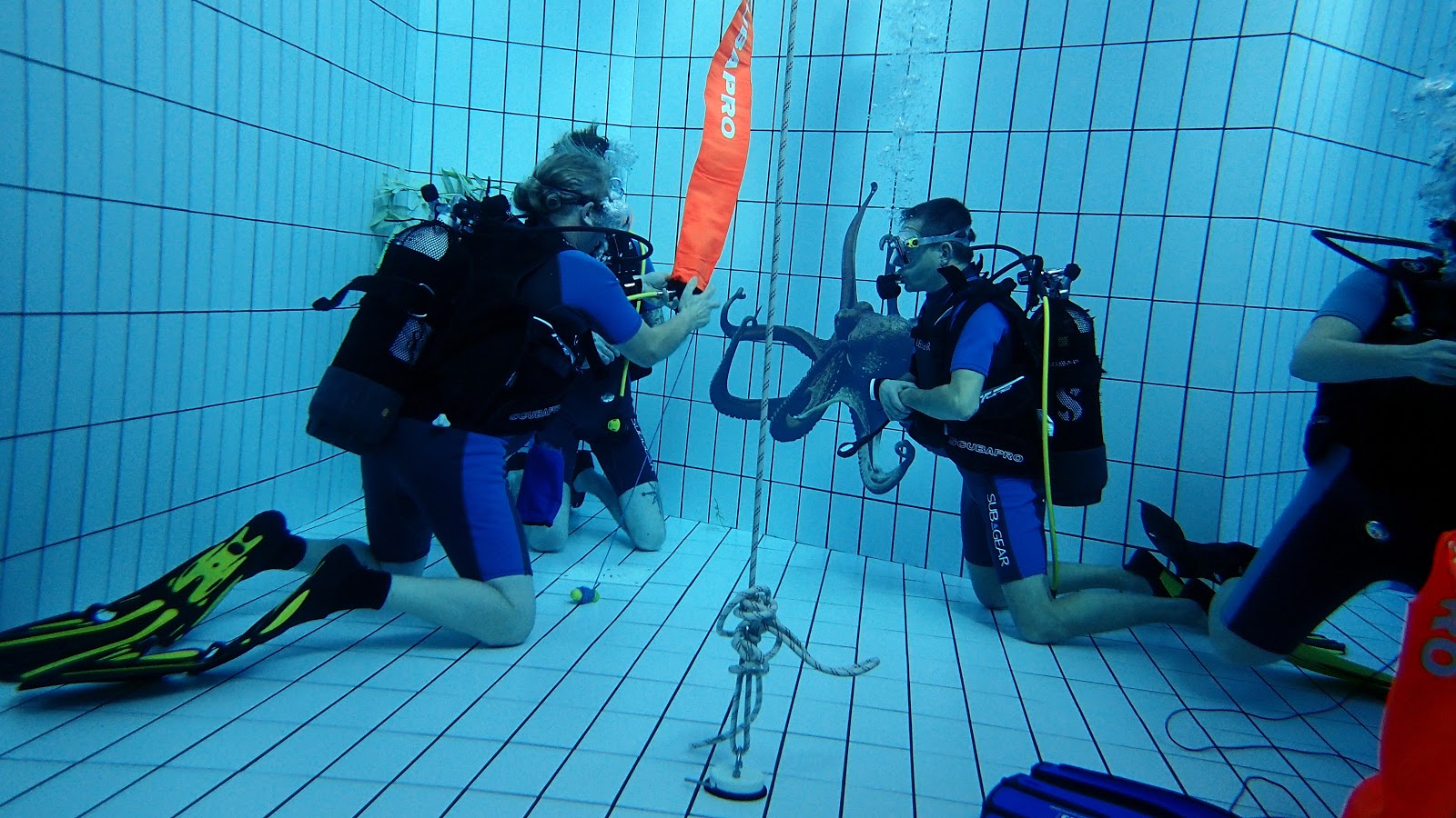 Instructor Development Course