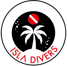 DPV Diving