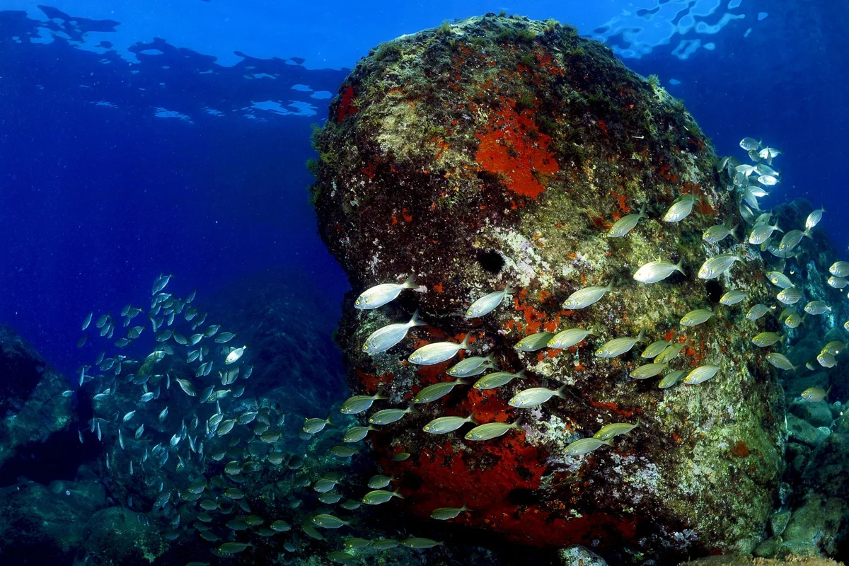 Trigone Diving Catania - Padi