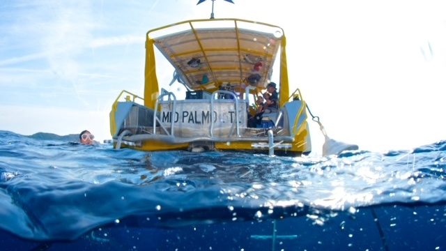 Mio Palmo Plongée - Cavalaire