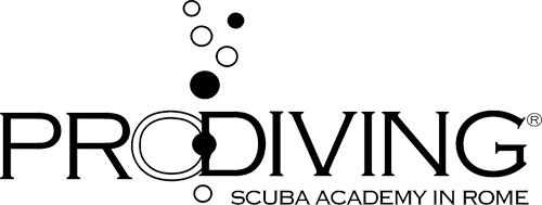 ProDiving logo