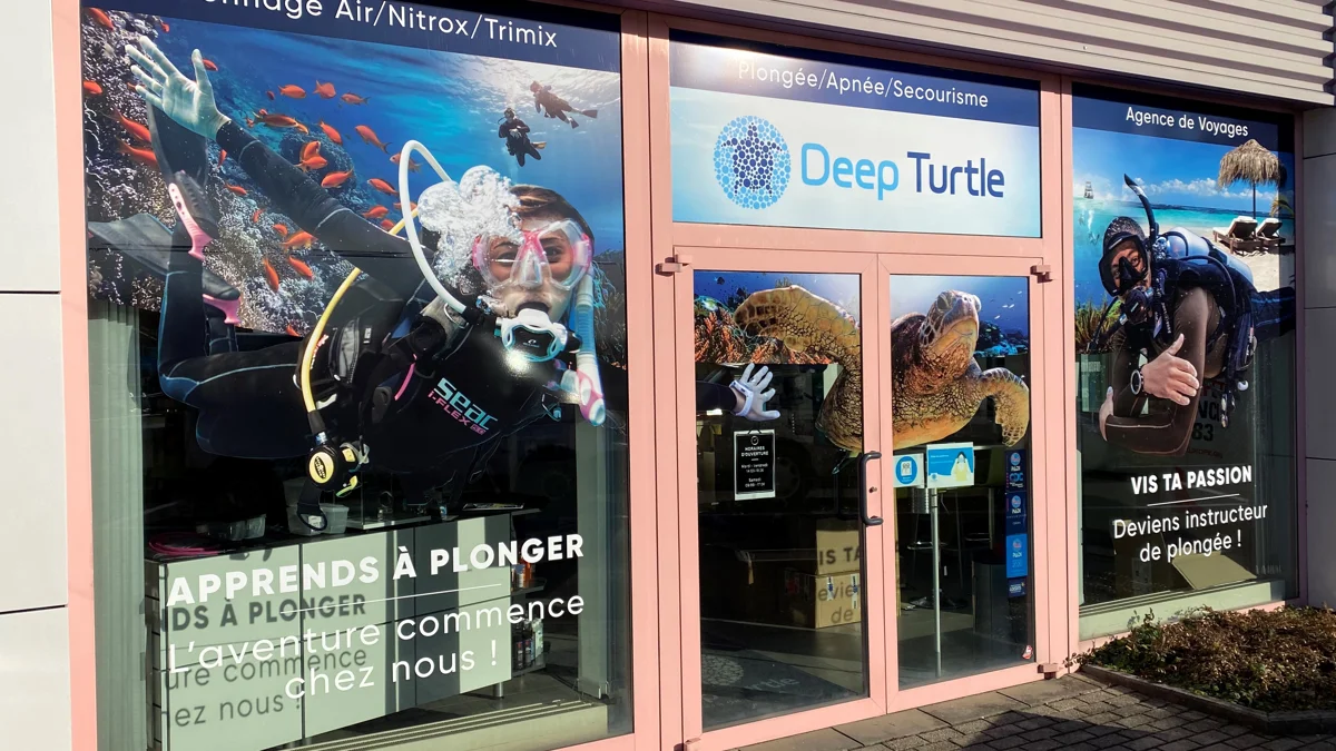 Deep Turtle