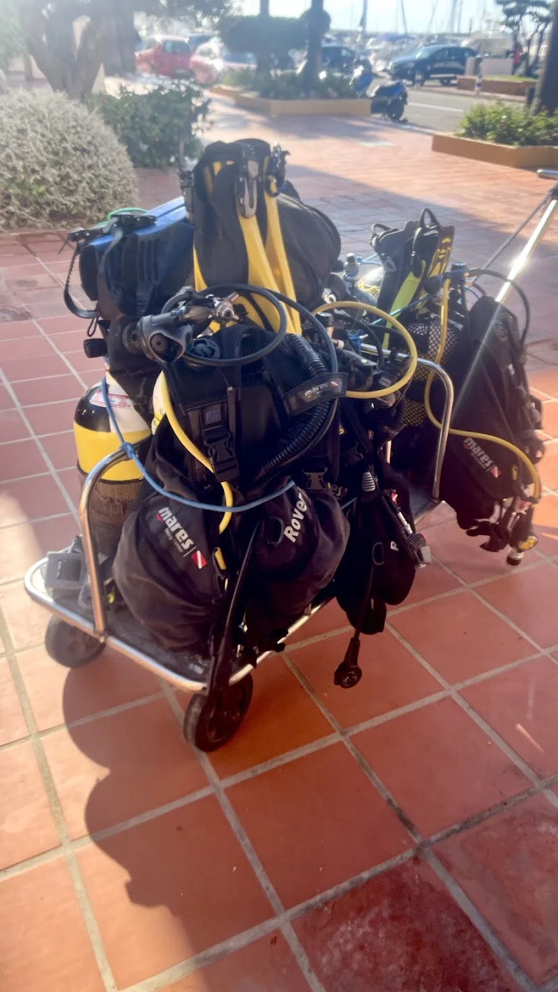 Foto 4