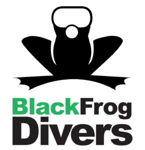Black Frog Divers logo
