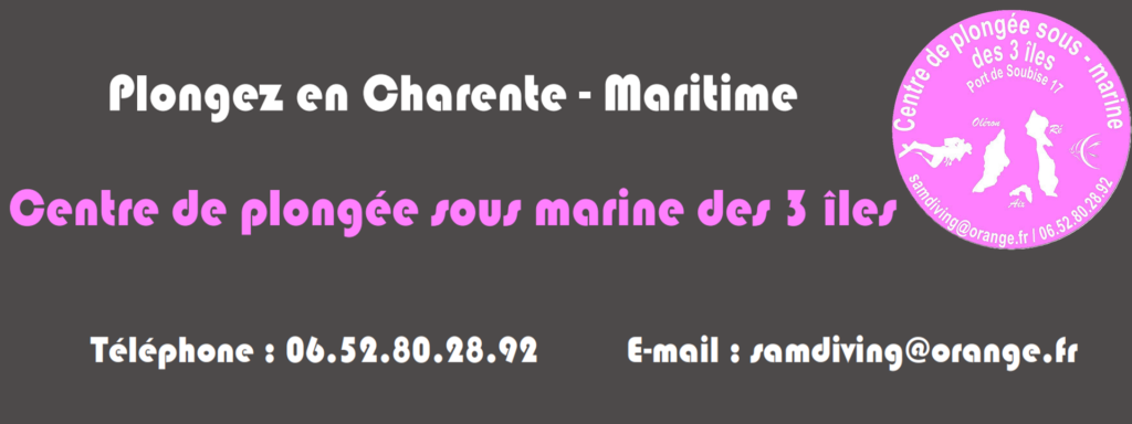 Sam diving centre de plongée sous-marine des 3 îles logo