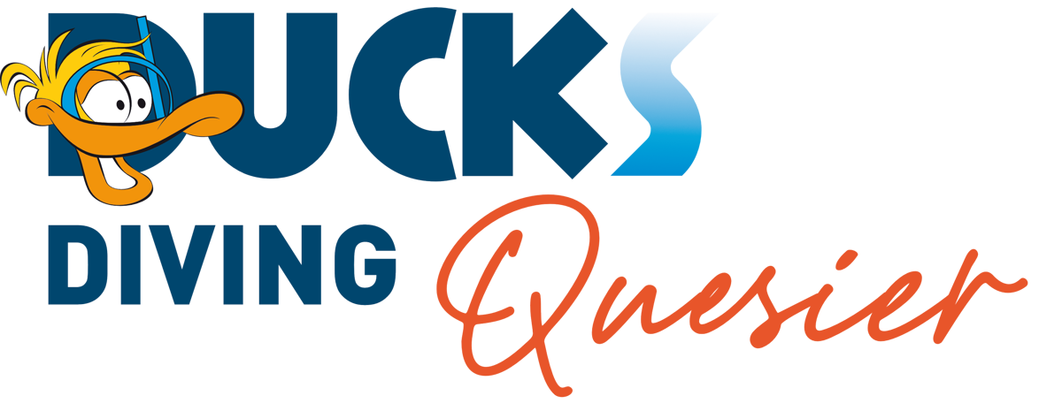 Ducks Diving Quesier logo