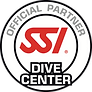 Clubsub logo