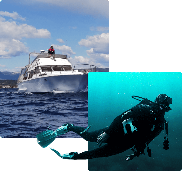 Nethuns Diving centre de plongée sous-marine logo