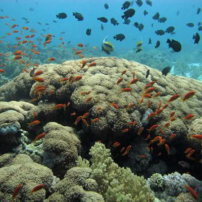 Poseidon Training Center
