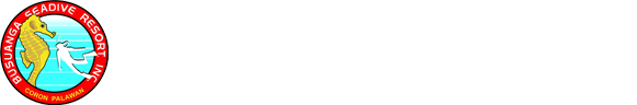 Busuanga Seadive Resort Inc. logo