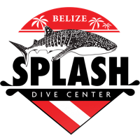Splash Dive Center logo