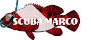 Scuba Marco logo