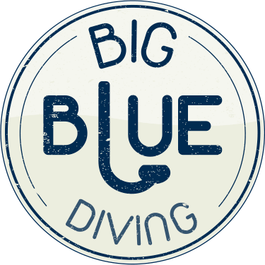 Big Blue Diving logo