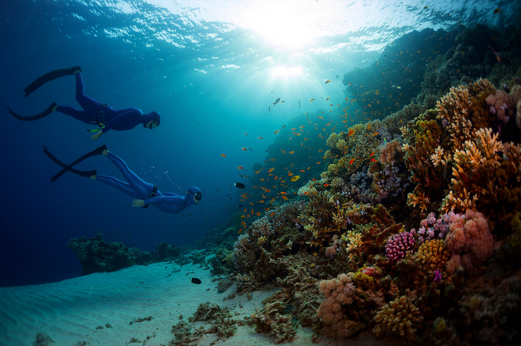 NDC Deep_BREATH freediving