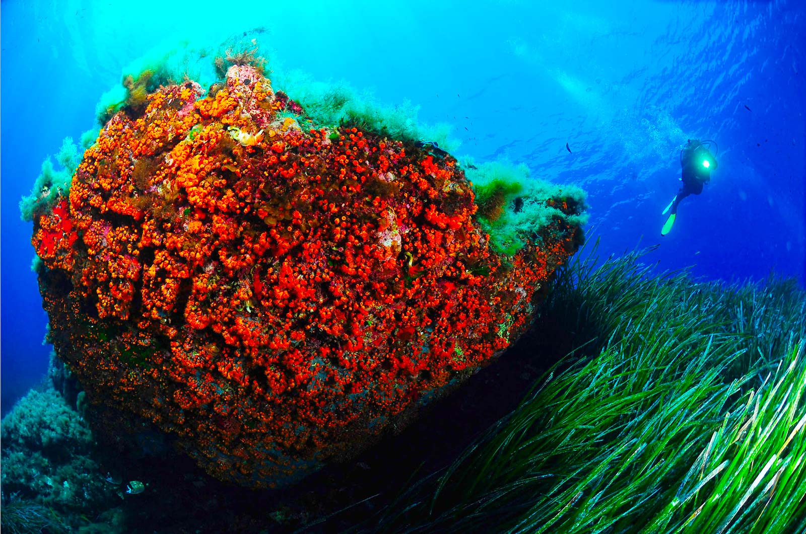 Instructor Development Course