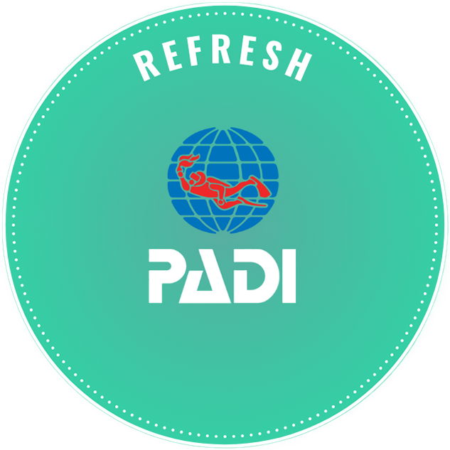 Diving course Madrid buceadoresmadrid logo